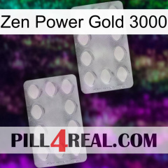 Zen Power Gold 3000 17